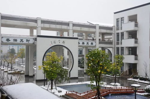 萧山硬核大雪终于下了 同学和老师早就等不及开始晒雪啦 快跟着萧教君来看一看你的学校,是不是也美成了水墨画