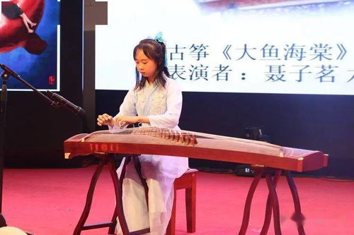 玉树市教育交流访问团参加密云区檀营小学第四届欢乐周暨3 x课程校级达人秀