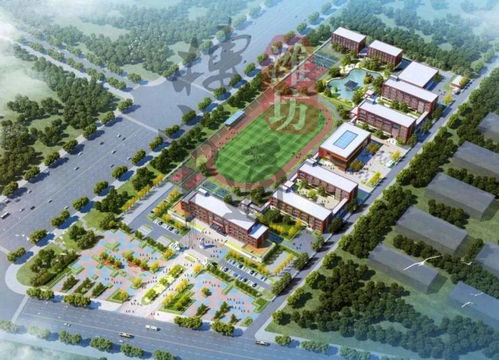 50亩获批潍坊将要新建一所公办高中