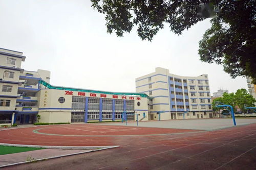顺德学生,听说你们想她了
