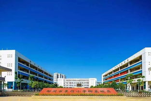 再也瞒不住了 产城融合 大战略曝光,柳东时代势不可挡