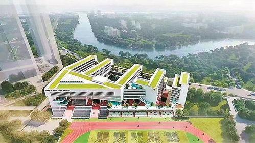 深圳要闻