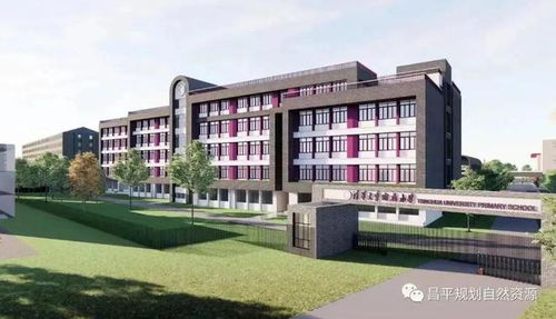 我们在现场 优质教育 惠及万家 ,回天地区2023年有6大学校建设项目