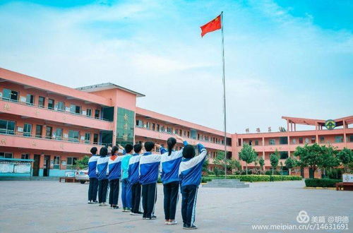 肥乡区明德小学 关于网络教学我们有话说