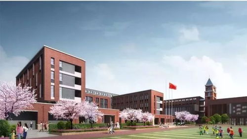 金牛家长必看 小学入学 小升初...你想知道的都在这